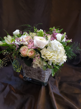 Garden grown mix compact low