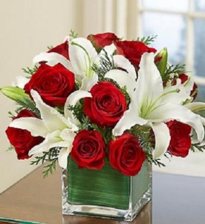 Modern Embrace  Cubed Arrangement, 6/12/18 red roses