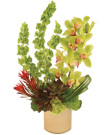 Modern Green Arrangement in Clifton, NJ | Days Gone By Florist