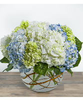 Modern Hydrangea Arrangement