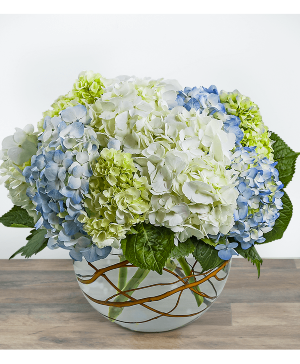 Modern Hydrangea Arrangement