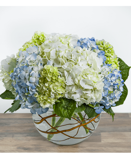 Modern Hydrangea Arrangement