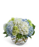 Modern Hydrangea Flower Arrangement
