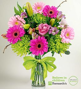  Designer Choice Modern Pinks and Greens 