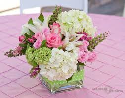 Modern Pinks  