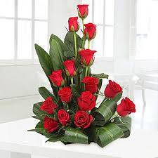 Modern Roses 