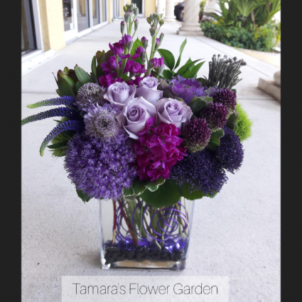 Modern Purple 