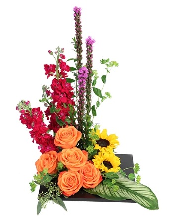 Modern Radiance Floral Design  in Philadelphia, PA | QA Test Account