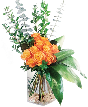 Modern Rose Bouquet Floral Arrangement in Nederland, TX | Harris Florist