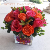 Modern Roses 