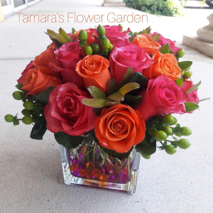Modern Roses 