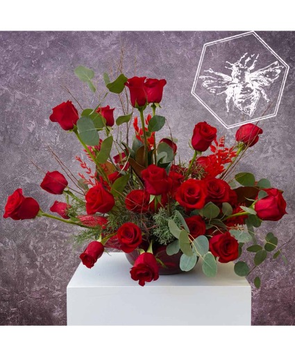 Modern Roses Designers Choice