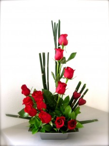 Modern roses everyday
