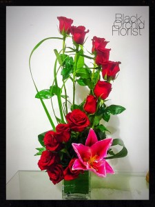Modern Roses Roses
