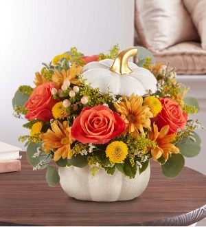 Modern Style pumpkin 