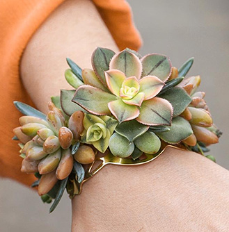 Modern Succulent - Gold Cuff Corsage in Haslett, MI | VAN ATTA'S FLOWER SHOP INC.