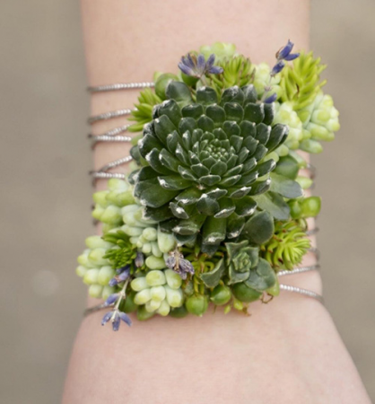 Modern Succulent - Silver Cuff Corsage