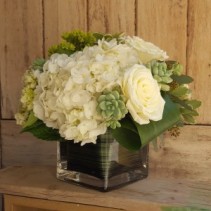 Modern Succulent Cube Flower and Succulent Arrangement