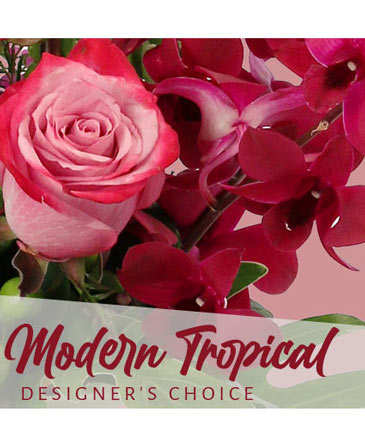 Modern Tropical Beauty Designer's Choice in Marmaduke, AR | Choco Taco Florist ***TEST SHOP****