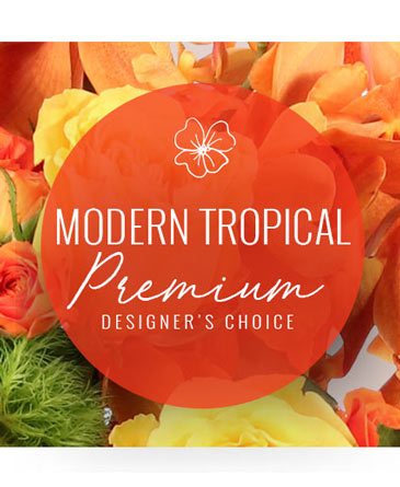 Modern Tropical Bouquet Premium Designer's Choice in Nederland, TX | Harris Florist