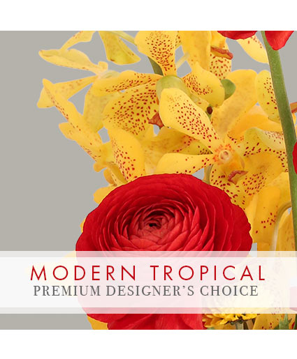 Modern Tropical Stunner Premium Designer's Choice