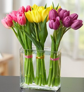Roma Florist Modern Tulips 