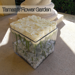 Modern White Roses 
