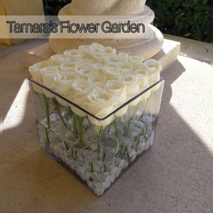 Modern White Roses 