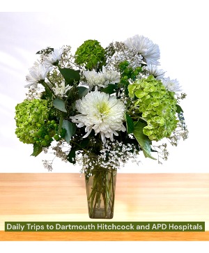 Mojito Dream Vase Arrangement