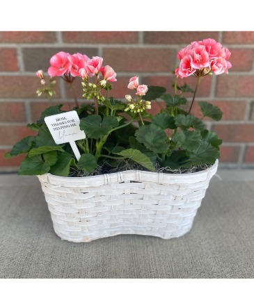 Mom, thanks for helping me bloom Geranium Planter Geranium Wicker Planter in Warren, PA | VIRG-ANN FLOWER SHOP LLC.