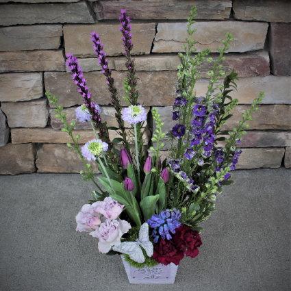 Momma Mia Landscape Arrangement