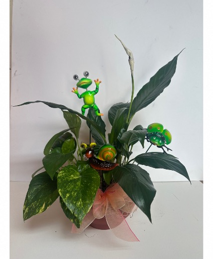 Momma’s Lil Critters Dish Garden