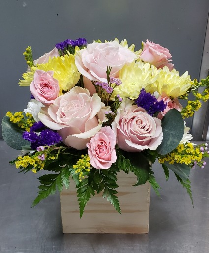 Mom's Garden 60.95 65.95 70.95
