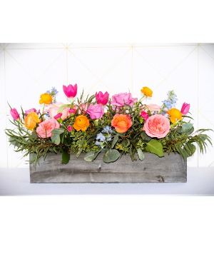 Large Garden Box  