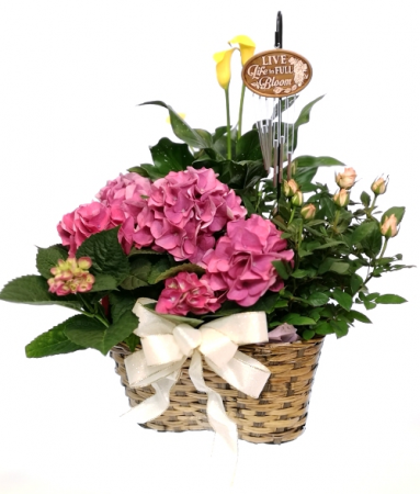 Moms Garden Dish Garden