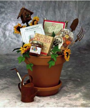 Secret Gardener every day arrangement