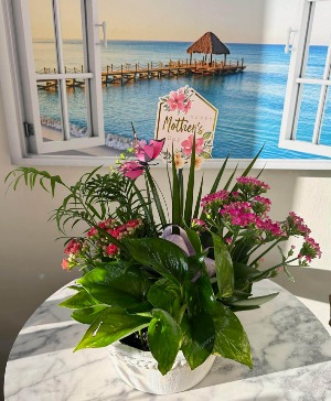 Mom's Living Garden Llimitted