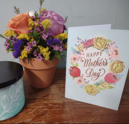  Rose Garden Flowers & more gift set