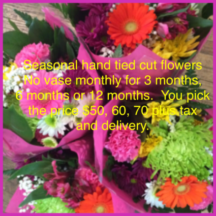 Monthly Subscription’s  Subscription 