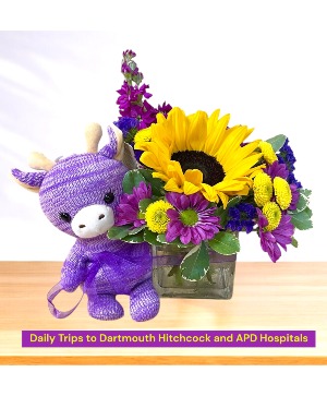 Moo & Bloom Vase Arrangement