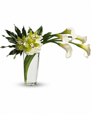 Moondance Arrangement