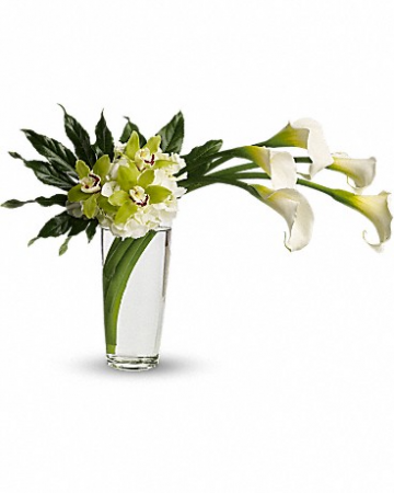 Moondance Arrangement