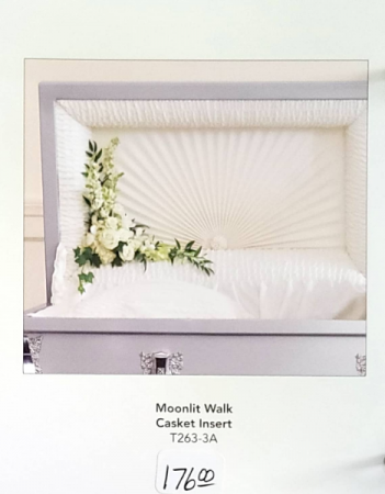Moonlit Walk Casket Insert 