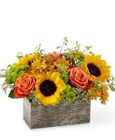 Mordern Garden  Wooden box Arrangement