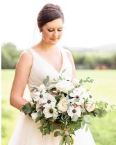 More Beautiful Anemones 