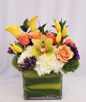 More Brighter Days Arrangement