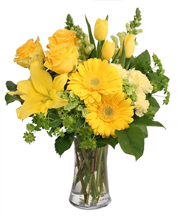 Morning Bliss Flower Arrangement in Denison, TX | JUDY'S FLOWER SHOPPE