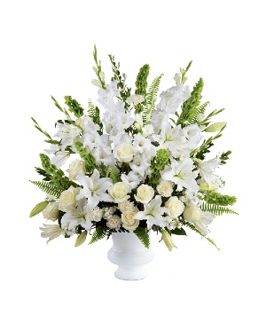 Morning Stars Arrangement 