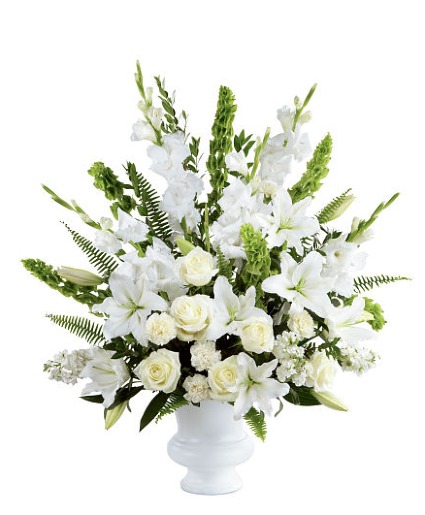 Morning Stars Arrangement