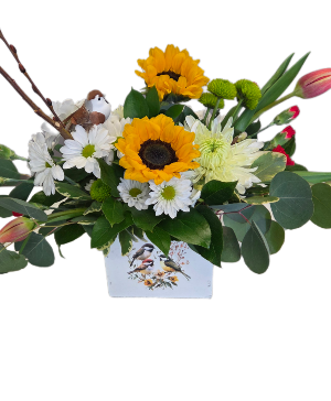 Morning tweets Fresh arrangement